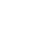 spirit
